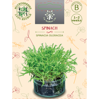 Sėklos daigams Daržiniai špinatai 10g (SPINACIA OLERACEA)