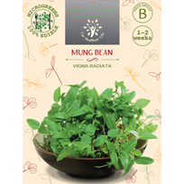 Sėklos daigams Spindulinės pupuolės 15g (MUNG BEAN)