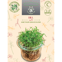 Sėklos daigams Paprastieji krapai 10g (ANETHUM GRAVEOLENS)