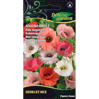 Aguona birulė Shirley 0,3g MIX