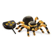 Tarantulas valdomas radijo bangom Buki