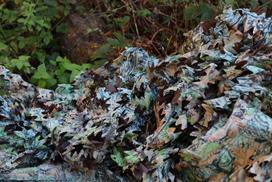 Camo maskuojantis tinklas all season 3x6 m