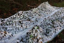 Tragopan Camo maskuojantis tinklas snow 3x6 m
