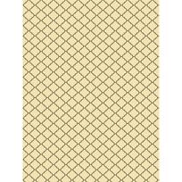 Westcott Sienna Modern Vintage X Drop Backdrop