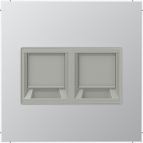 Centre plate, 2xRJXX, aluminium, LS AL1969-2WE | 4011377178007