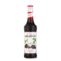 MONIN Gervuogių sirupas 1L