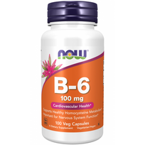 Now Foods Vitamin B-6 100 mg 100 caps