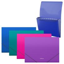 Plastikinis dėklas su skyriais MATT VIVID, ErichKrause, A4, 700mkr, 12 skyrių, su guma, 4 sp.