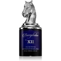 Armaf Bucephalus No. XII Parfumuotas vanduo vyrams 100 ml