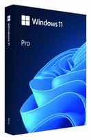 MICROSOFT Windows Pro 11 PL Box 64bit USB HAV-00209 substitute P/N: HAV-00126