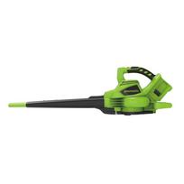 Greenworks Pūstuvas/surinktuvas 2X24V be akumuliatoriaus GD24X2BV
