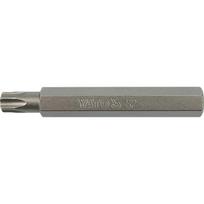 Antgalis atsuktuvui TORX T25x75 S2