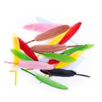 Žąsies plunksnos, 13 cm, 20 vnt., mix