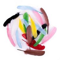 Žąsies plunksnos, 16 cm, 20 vnt., mix