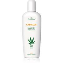 Cannaderm Capillus Anti-Dandruff Shampoo šampūnas nuo pleiskanų su kanapių aliejumi 150 ml