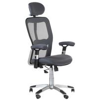 Ergonominė biuro kėdė CorpoComfort BX-4147 Grey