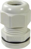Cable glands IP68 PG29 light-grey 250072 | 4011923497071