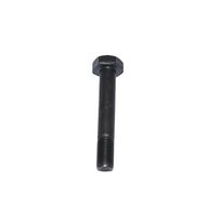 VARŽTAS PLAKTUKO 16X100 CL 10.9 8066536