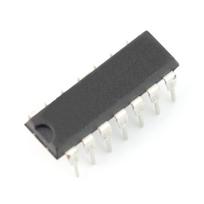 Taimeris NE556 - THT