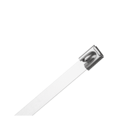 Plieninis laidų tvirtinimo dirželis 30cmx7.9mm