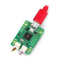 Raspberry Pi Debug Probe - USB derintuvas, skirtas Raspberry Pi Pico