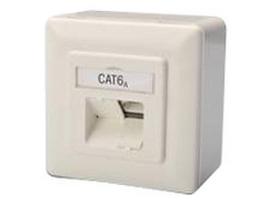 DIGITUS CAT 6A Class EA network outlet shielded 2x RJ45 LSA pure white surface mount vertical cable installation