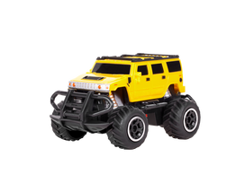 Mini RC automobilio visureigis