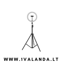 Led asmenukių žiedas (Led ring)