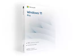 Microsoft Windows 11 Pro Retail