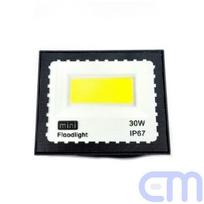 Lauko  šviestuvas  30W LED   Mini Floodlight