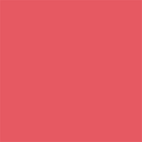 Superior popierinis fonas 2,72x11m Watermelon
