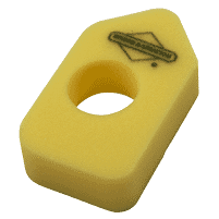 Briggs Oro filtras
