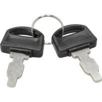 Raktų rinkinys Briggs&Stratton 590996