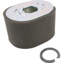 Oro filtras Briggs and Stratton 799818