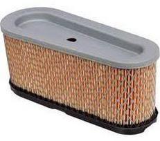 Oro filtras tinka B&S 496894S