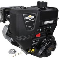 Variklis 9 HP Briggs&Stratton 19L2370319F1