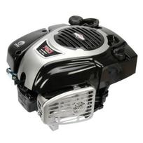 Variklis 5 HP Briggs&Stratton 1006020177H5