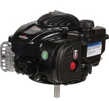 Variklis 4 HP Briggs&Stratton 09P6020036H5