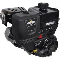 Variklis 9 HP Briggs&Stratton 19L2320314F1