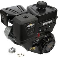 Variklis 9 HP Briggs&Stratton 19L2320315F1