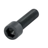 Šešiakampio lizdo varžtas M16x1.5×55