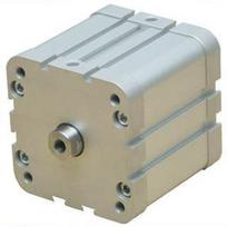 Slėgio pneumatinis cilindras DM 063 X 010