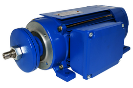 Trifazis dachshund variklis 4kW 2850 - dešinysis