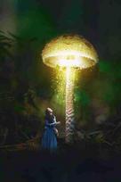 Fototapetai Fantastika 1199; 200x270cm, 300x270cm, 400x270cm