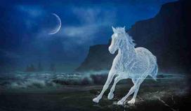 Fototapetai Fantastika 1061; 200x270cm, 300x270cm, 400x270cm