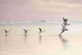 Fototapetai Fantastika 1067; 200x270cm, 300x270cm, 400x270cm