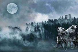 Fototapetai Fantastika 1084; 200x270cm, 300x270cm, 400x270cm
