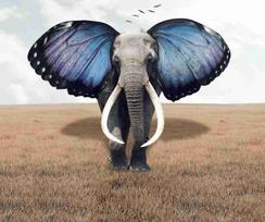 Fototapetai Fantastika 1048; 200x270cm, 300x270cm, 400x270cm