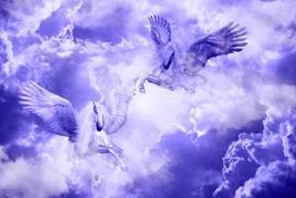 Fototapetai Fantastika 1040; 200x270cm, 300x270cm, 400x270cm