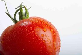 Plakatas Maistas 1184; Dydis A2, A1, A0 formato